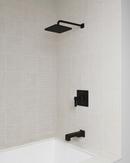 Single Function Showerhead in Matte Black 