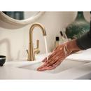Moen Bronzed Gold Single Handle Monoblock Bathroom Sink Faucet 