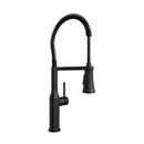 Single Handle Pre-Rinse Kitchen Faucet in Matte Black