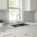 PROFLO&reg; Chrome Plated Single Handle Kitchen Faucet 