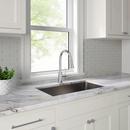 PROFLO&reg; Chrome Plated Single Handle Pull Down Kitchen Faucet 