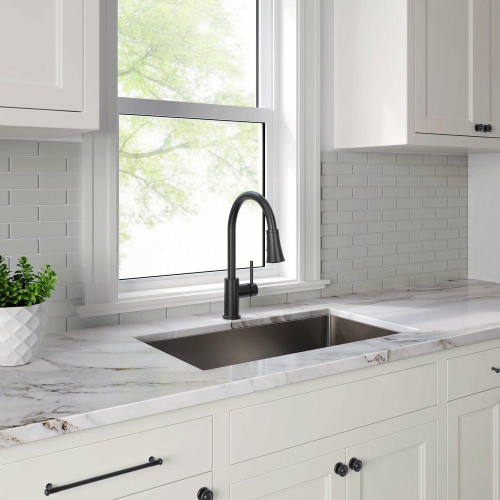 PROFLO&reg; Matte Black Single Handle Kitchen Faucet 