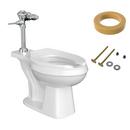 Elongated Flush Valve Toilet Bundle