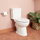 Two Piece Elongated Toilet with Reversible Tank and Chrome Handle, Includes Toilet Seat