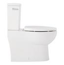 LAVRIK TWO-PIECE SKIRTED ELONGATED TOILET WITH REVERSIBLE TANK - CHROME HANDLE 