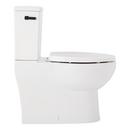 Two Piece Elongated Skirted Toilet with Reversible Tank and Matte Black Handle, Less Toilet Seat 