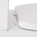 Two Piece Elongated Skirted Toilet with Reversible Tank and Brushed Gold Handle, Less Toilet Seat 