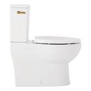 Two Piece Elongated Skirted Toilet with Reversible Tank and Brushed Gold Handle, Less Toilet Seat 