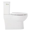 Two Piece Elongated Skirted Toilet with Reversible Tank and Polished Nickel Handle, Less Toilet Seat 