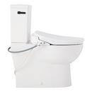 Two Piece Elongated Skirted Toilet with Reversible Tank and Matte Black Handle, Includes Bidet Seat 