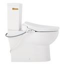 Two Piece Elongated Skirted Toilet with Reversible Tank and Brushed Gold Handle, Includes Bidet Seat 