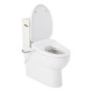 Two Piece Elongated Skirted Toilet with Reversible Tank and Brushed Gold Handle, Includes Bidet Seat 