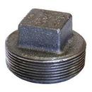 MNPT 175# Domestic Cast Iron Solid Plug 