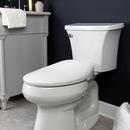 ELG CFWC ELC PLST BIDET SEAT 