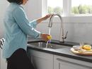 Single Handle Pull Down Kitchen Faucet in Spotshield Stainless 