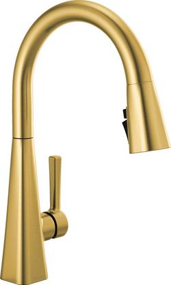Single Handle Pull Down Kitchen Faucet in Brushed Gold