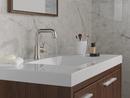 Single Handle Monoblock Bathroom Sink Faucet in Stainless 
