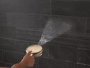 Multi Function Hand Shower in Lumicoat&reg; Champagne Bronze 