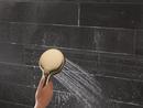 Multi Function Hand Shower in Lumicoat&reg; Champagne Bronze 