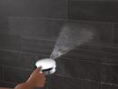 Multi Function Hand Shower in Chrome 