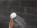 Multi Function Hand Shower in SpotShield Brushed Nickel 
