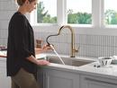 Single Handle Pull Down Kitchen Faucet in Champagne Bronze 