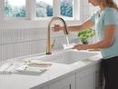 Single Handle Pull Down Kitchen Faucet in Lumicoat&reg; Champagne Bronze 
