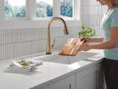 Single Handle Pull Down Kitchen Faucet in Lumicoat&reg; Champagne Bronze 