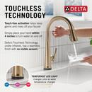 Single Handle Pull Down Kitchen Faucet in Lumicoat&reg; Champagne Bronze 