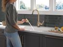 Single Handle Pull Down Kitchen Faucet in Champagne Bronze 