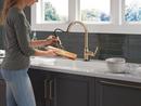 Single Handle Pull Down Kitchen Faucet in Champagne Bronze 