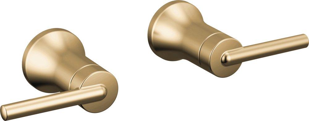 Trinsic&reg; Wall Mount Lever Handles in Champagne Bronze 