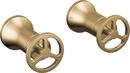 Trinsic&reg; Wall Mount Wheel Handles in Champagne Bronze 