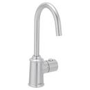 Moen Chrome Single Handle Water Filter Faucet 