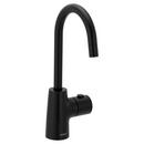 Moen Matte Black Single Handle Water Filter Faucet 