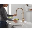 Single Handle Pull Down Kitchen Faucet in Champagne Bronze 