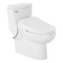 BRINSTEAD ONE-PIECE ELONGATED SKIRTED TOILET WITH ANGELOU BIDET SEAT - CHROME HANDLE 