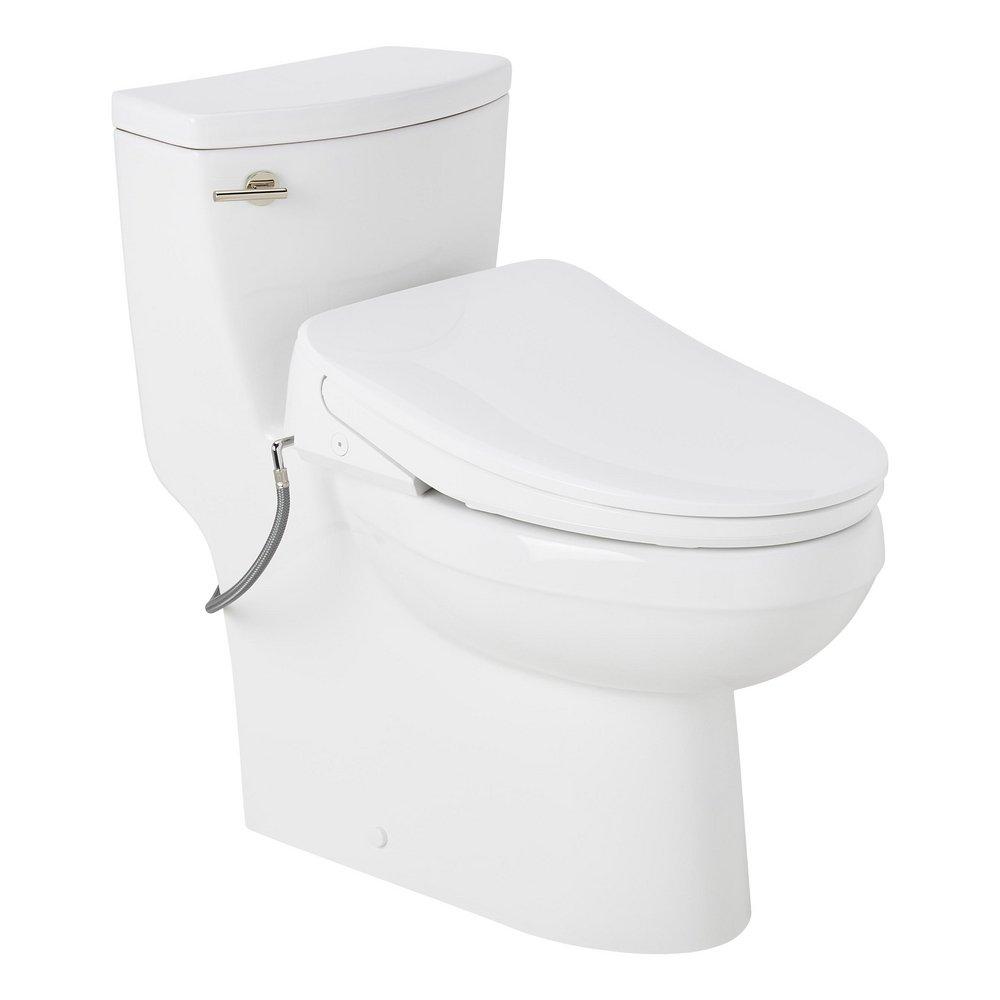 BRINSTEAD ONE-PIECE ELONGATED SKIRTED TOILET WITH ANGELOU BIDET SEAT - POLISHED NICKEL HANDLE 