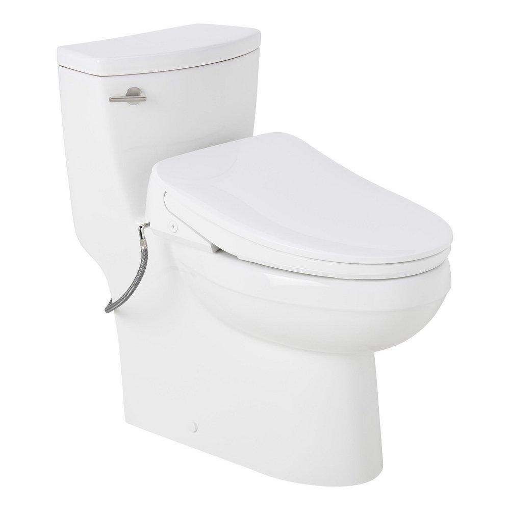 BRINSTEAD ONE-PIECE ELONGATED SKIRTED TOILET WITH ANGELOU BIDET SEAT - BRUSHED NICKEL HANDLE 