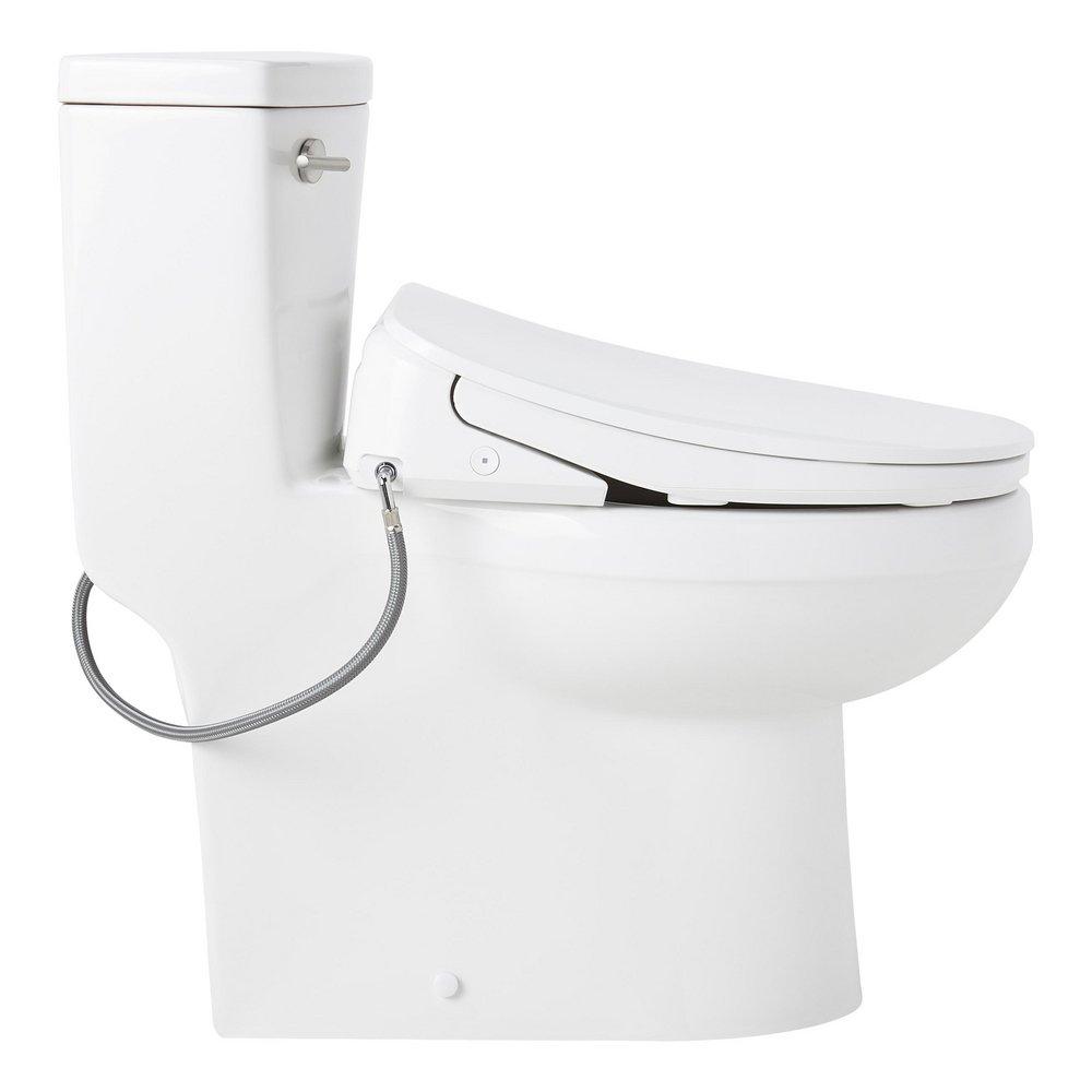 BRINSTEAD ONE-PIECE ELONGATED SKIRTED TOILET WITH ANGELOU BIDET SEAT - BRUSHED NICKEL HANDLE 