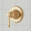 Single Handle Volume Control Valve Trim in Brushed Gold
