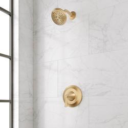 Single Handle Multi Function Shower Faucet in Brushed Gold (Trim Only)