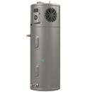 RUUD HYBRID ELECTRIC HEAT PUMP WATER HEATER - UTILITY 65 GALLON 