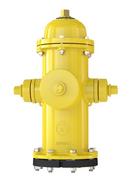 b62b ol 5'0 bury vandalia 