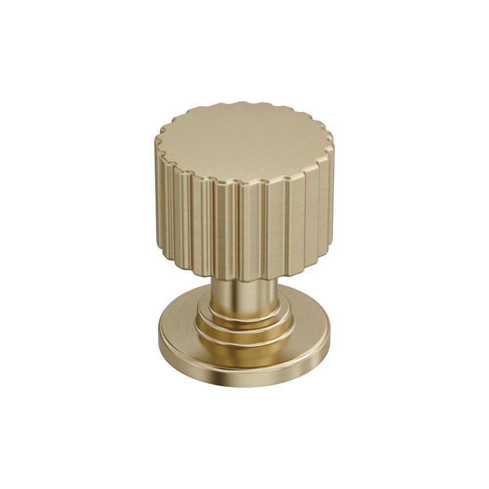 Amerock Golden Champagne 1 in. Round Cabinet Knob 