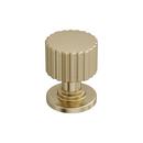 Amerock Golden Champagne 1 in. Round Cabinet Knob 