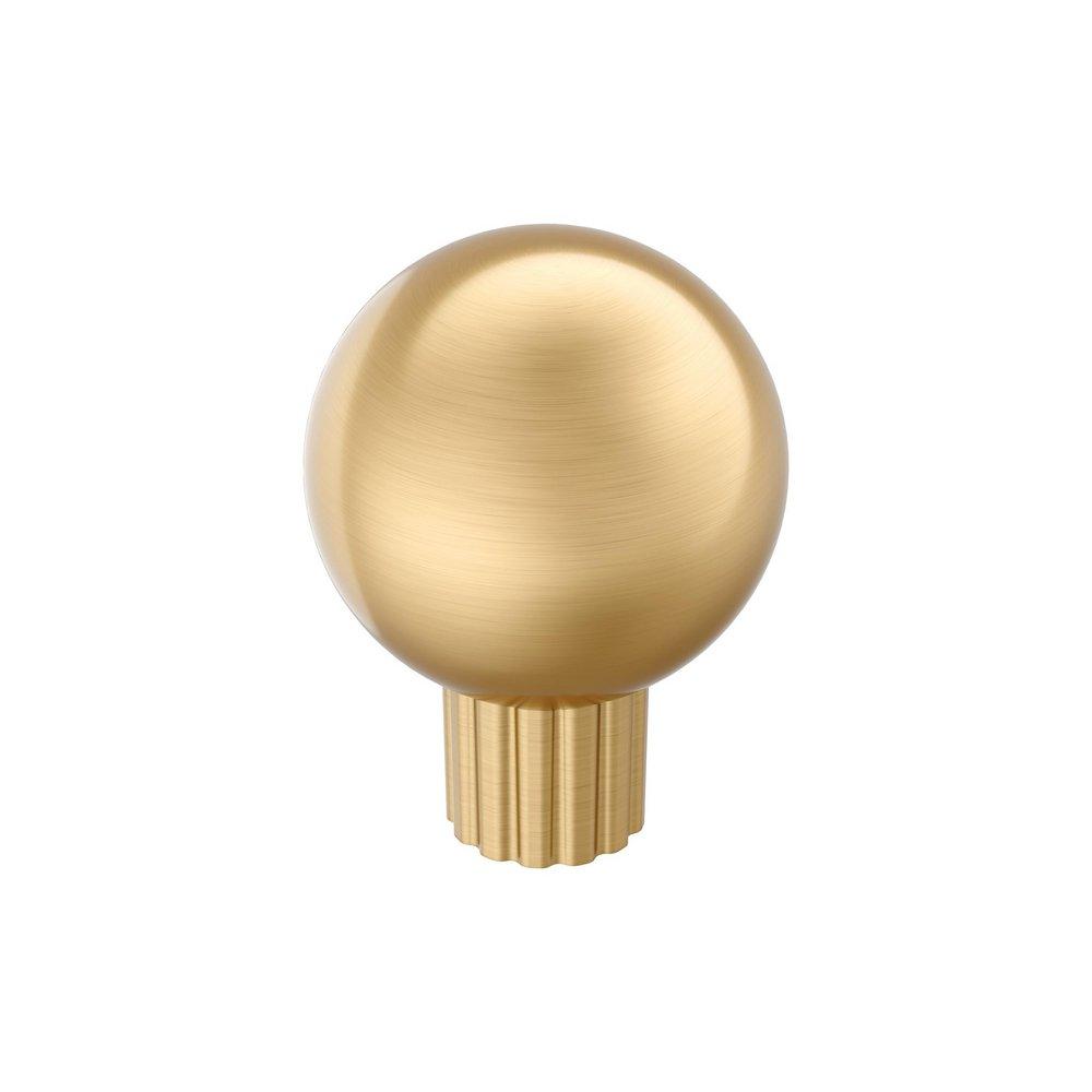 COWRIE 1-1/8 INCH 29MM DIAMETER CHAMPAGNE BRONZE CABINET KNOB 