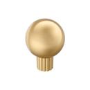 COWRIE 1-1/8 INCH 29MM DIAMETER CHAMPAGNE BRONZE CABINET KNOB 