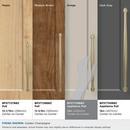 Amerock Golden Champagne 12 in. Center-to-Center Appliance Pull 