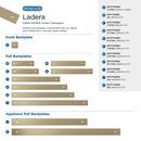 LADERA 1-3/16 INCH 30MM LENGTH GOLDEN CHAMPAGNE CABINET BACKPLATE 